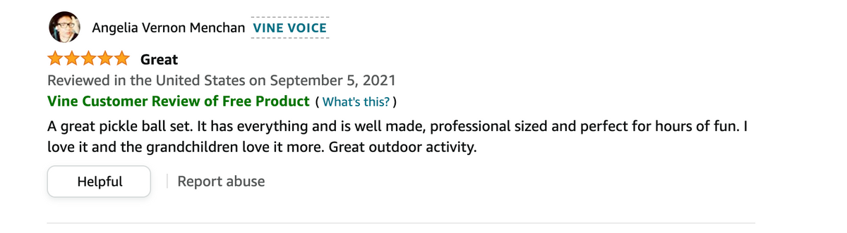 ANYTHING SPORTS - 3 in 1 Pickleball Bundle - Pickleball Net, 4 Carbon Fiber Paddles and 4 Pickleballs